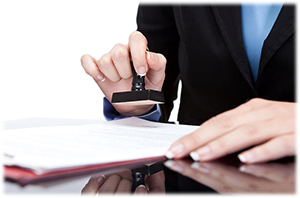 Register and License your Business